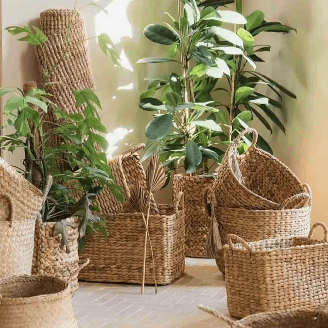 Imagen promocional de Campaña 19