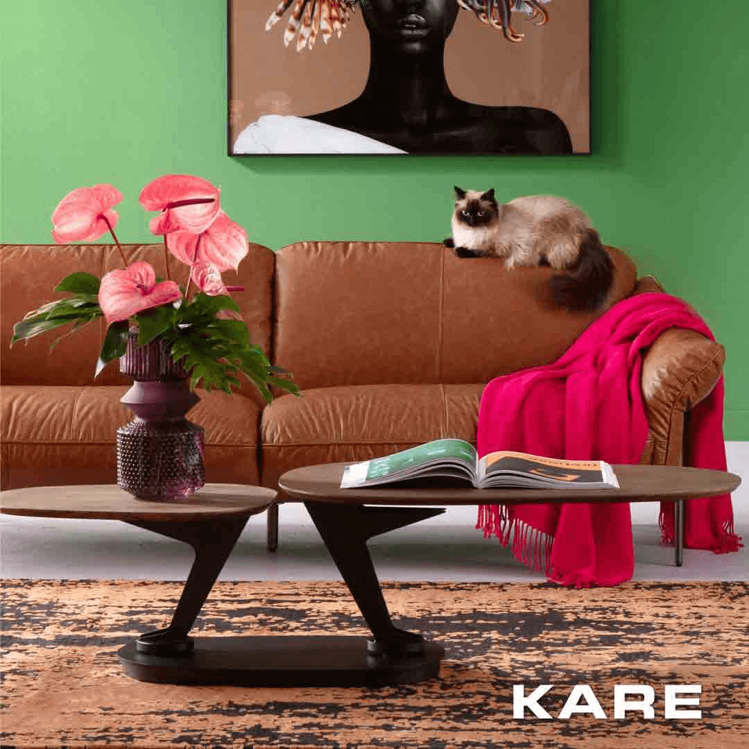 Imagen promocional de Campaña 17