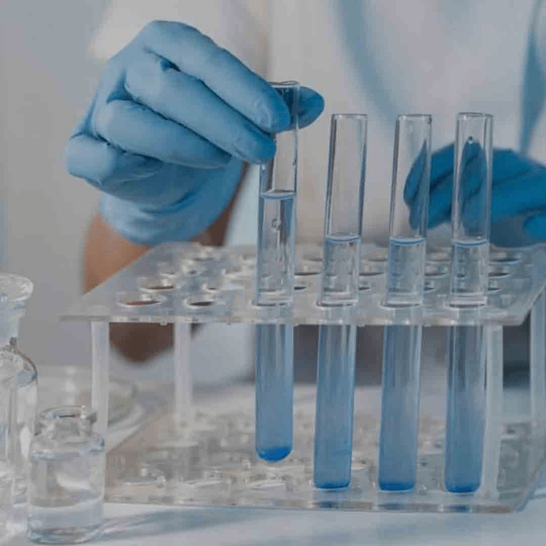 Imagen promocional de Campaña 17