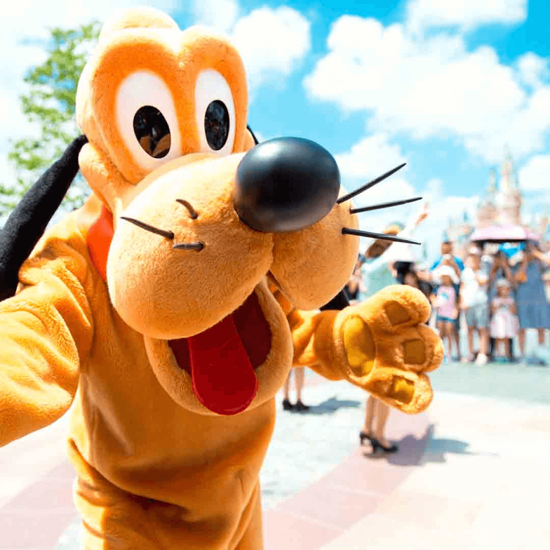 Imagen promocional de Campaña 19