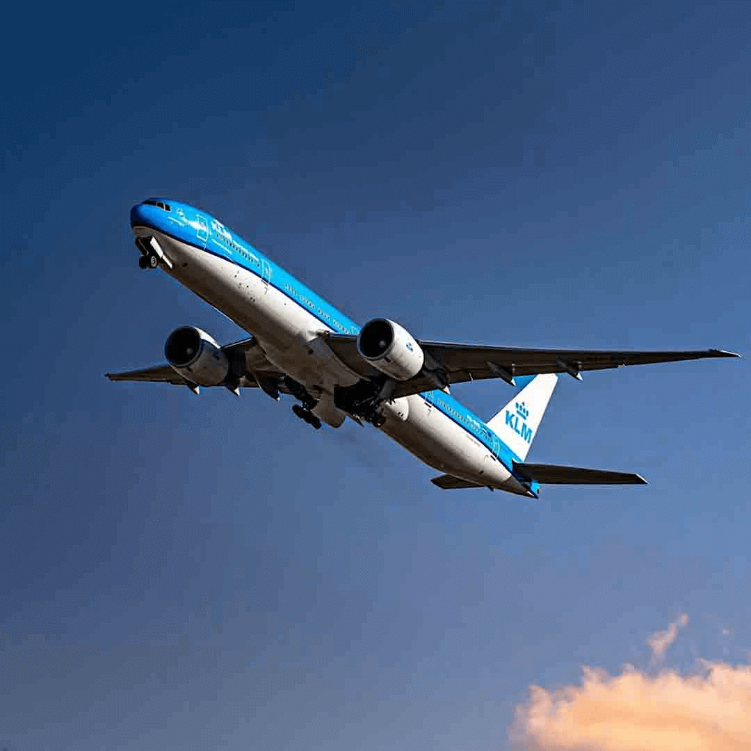 Campaña 16