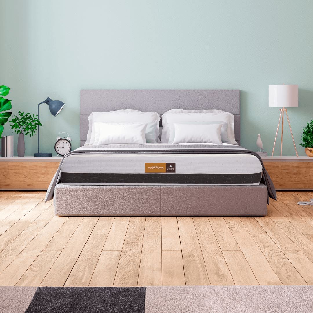 Imagen promocional de Campaña 18