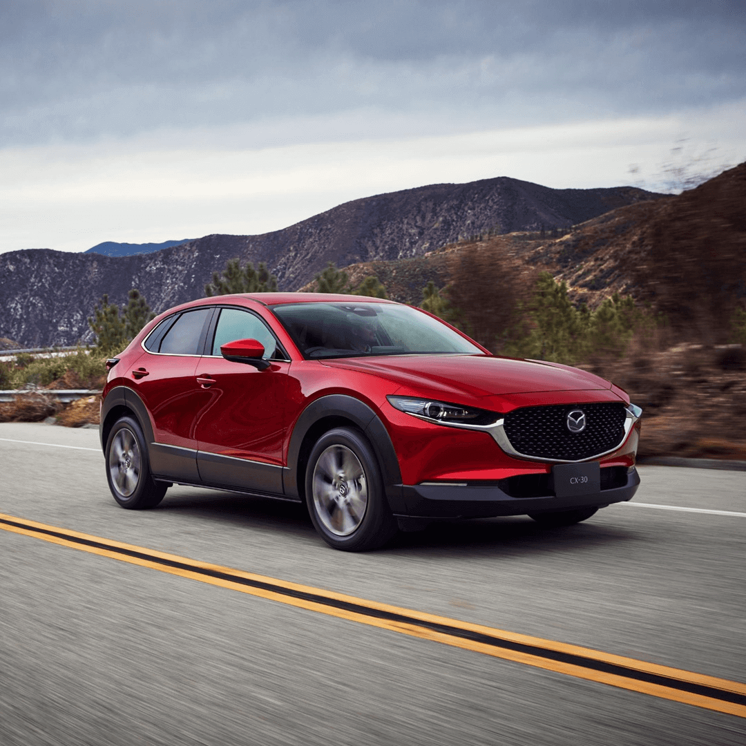 Imagen promocional de Campaña 17