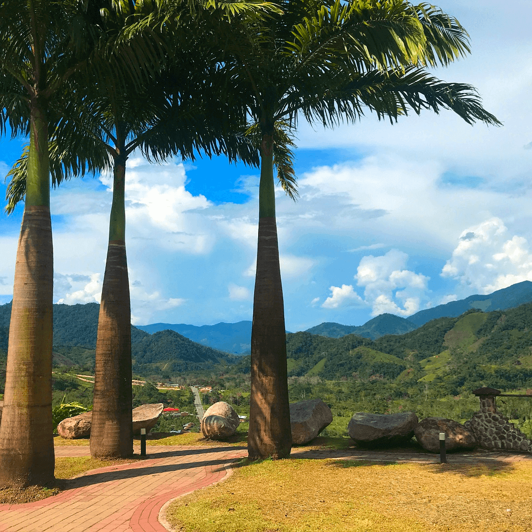 Imagen promocional de Campaña 19