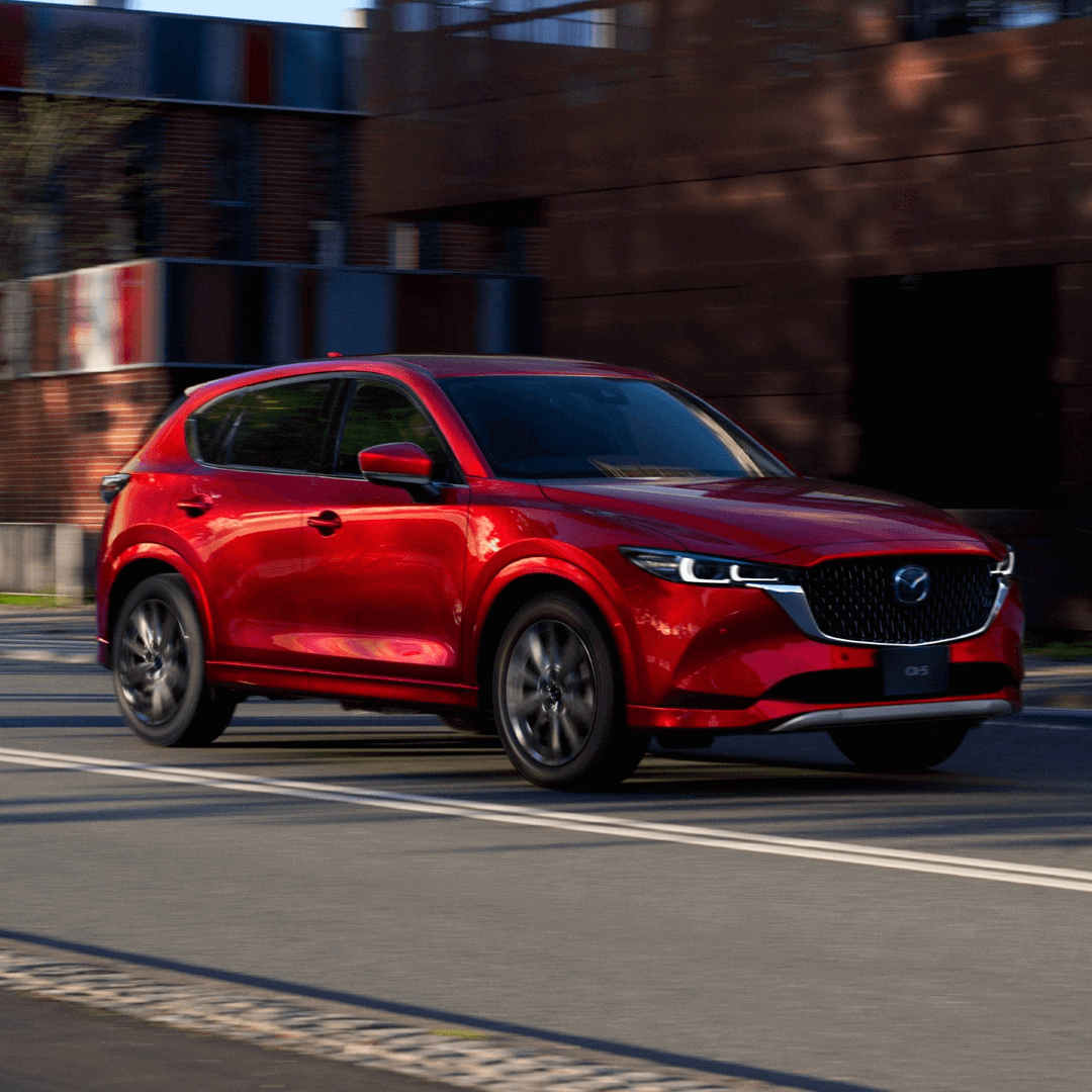 Imagen promocional de Campaña 18