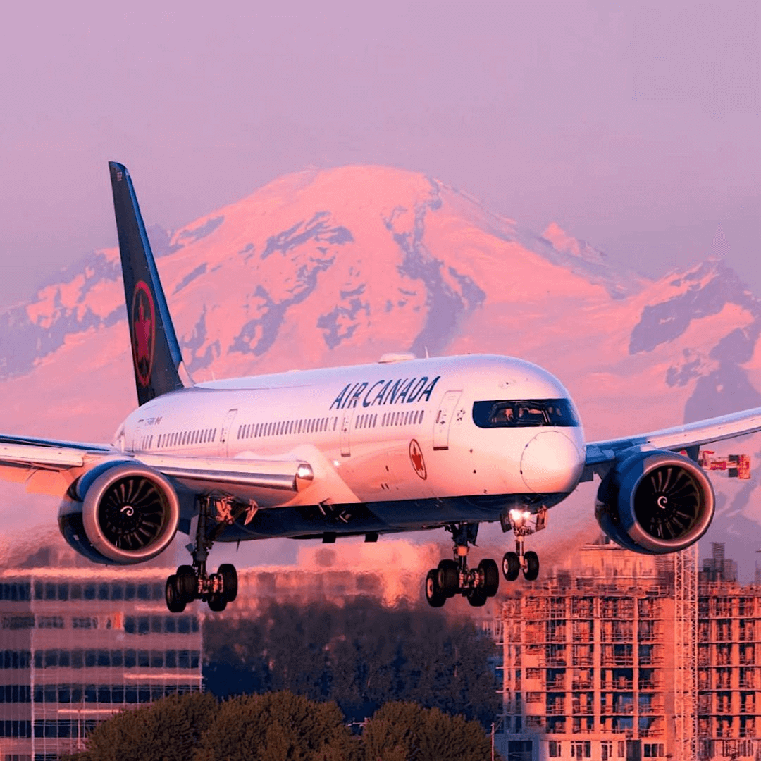 Imagen promocional de Campaña 17