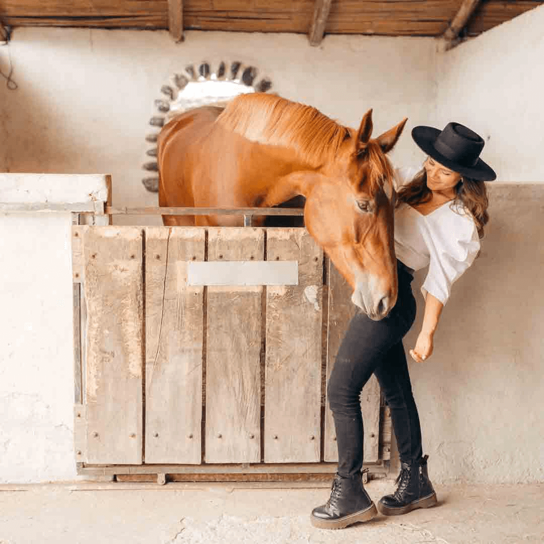 Imagen promocional de Campaña 17