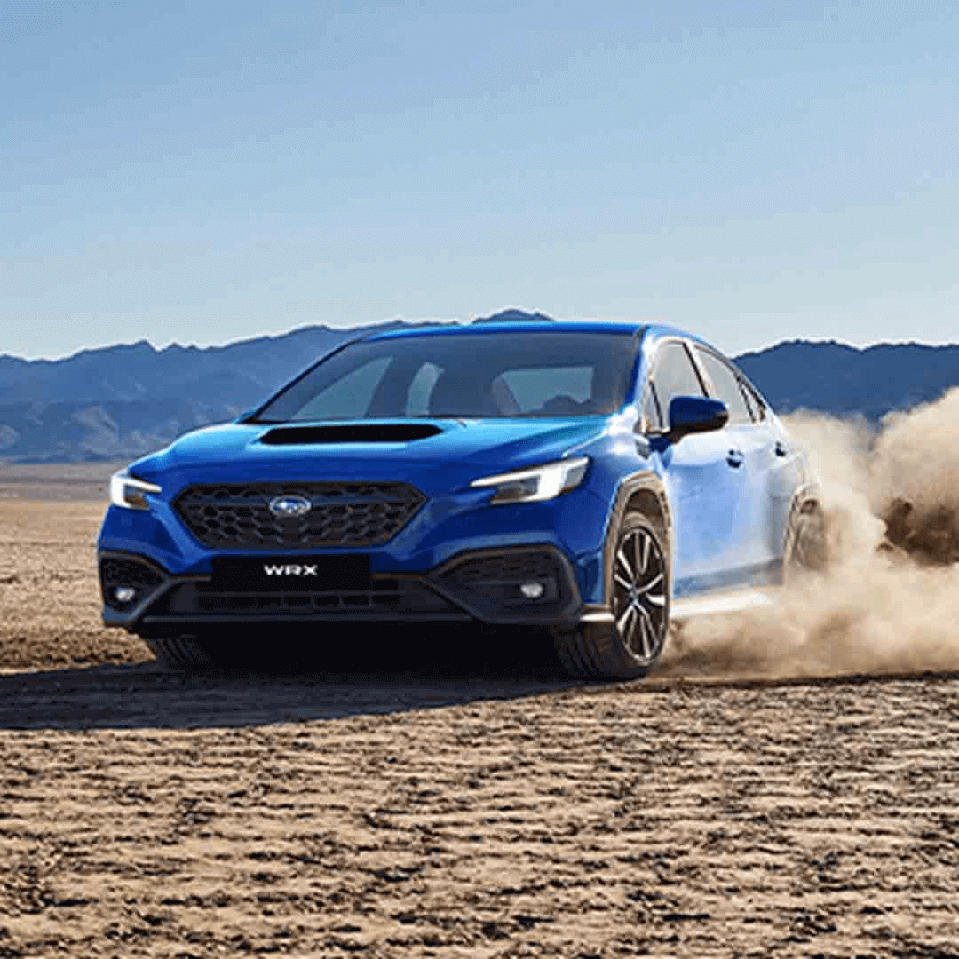 Imagen promocional de Campaña 17