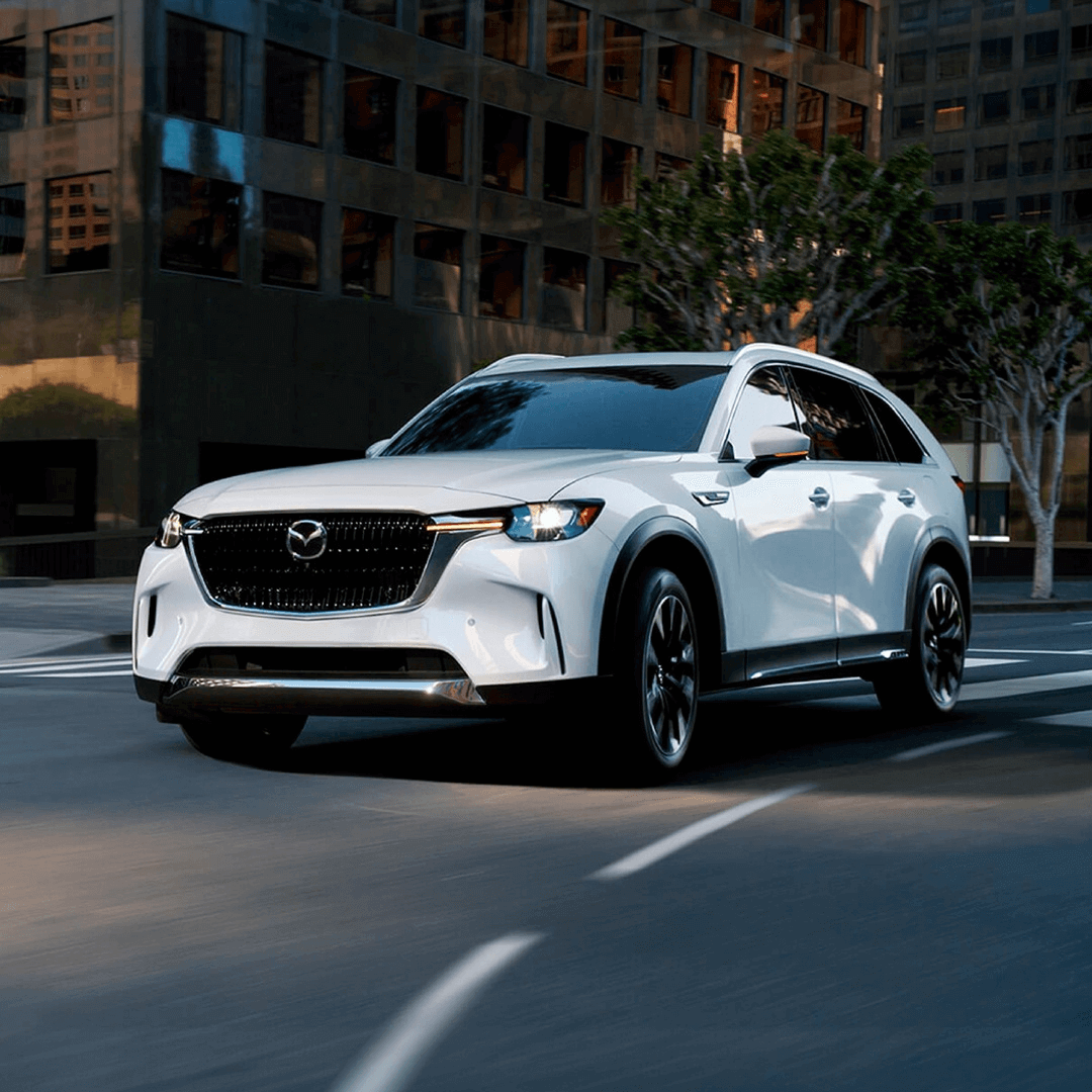 Imagen promocional de Campaña 19