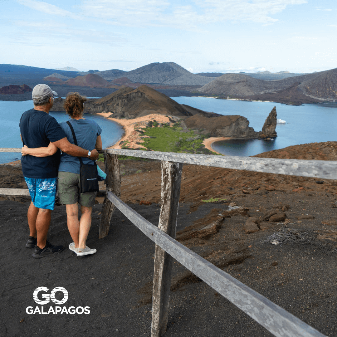 Imagen promocional de Campaña 17