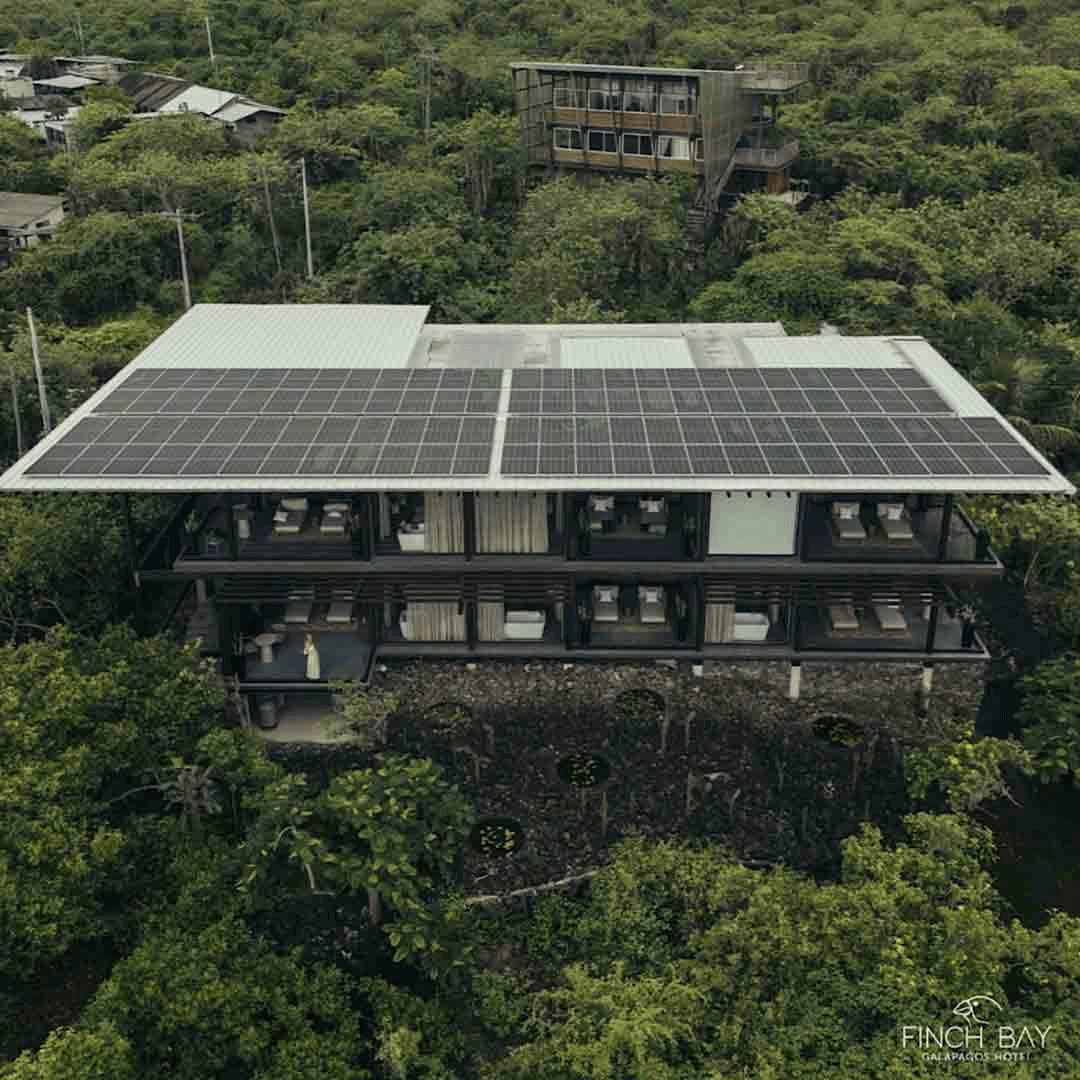 Imagen promocional de Campaña 18