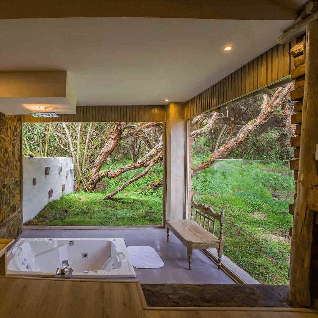 Imagen promocional de Campaña 18