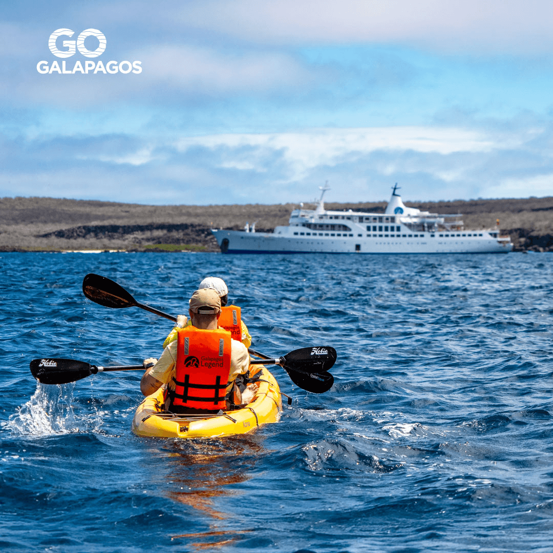 Imagen promocional de Campaña 18