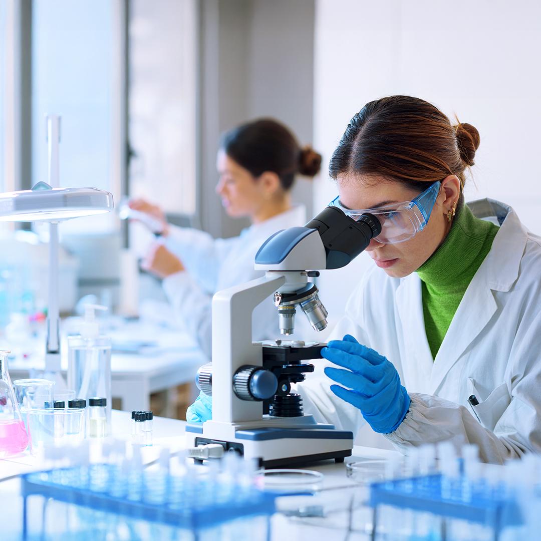 Imagen promocional de Campaña 18