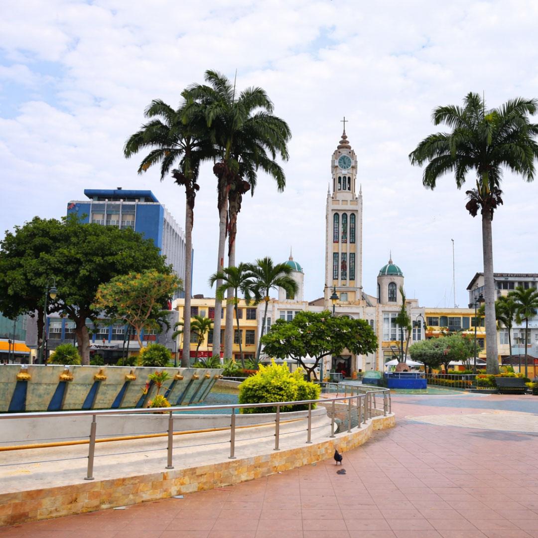 Imagen promocional de Campaña 17