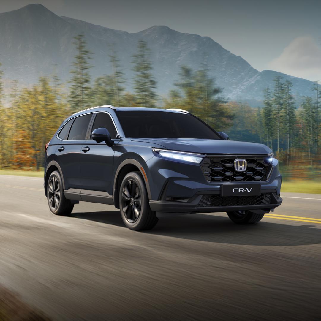 Imagen promocional de Campaña 17