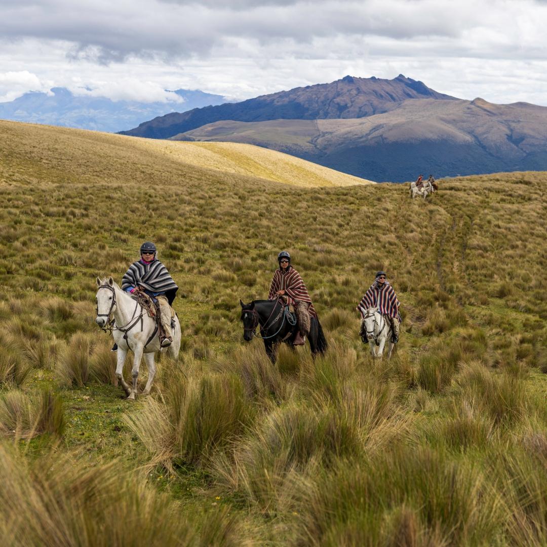 Imagen promocional de Campaña 20