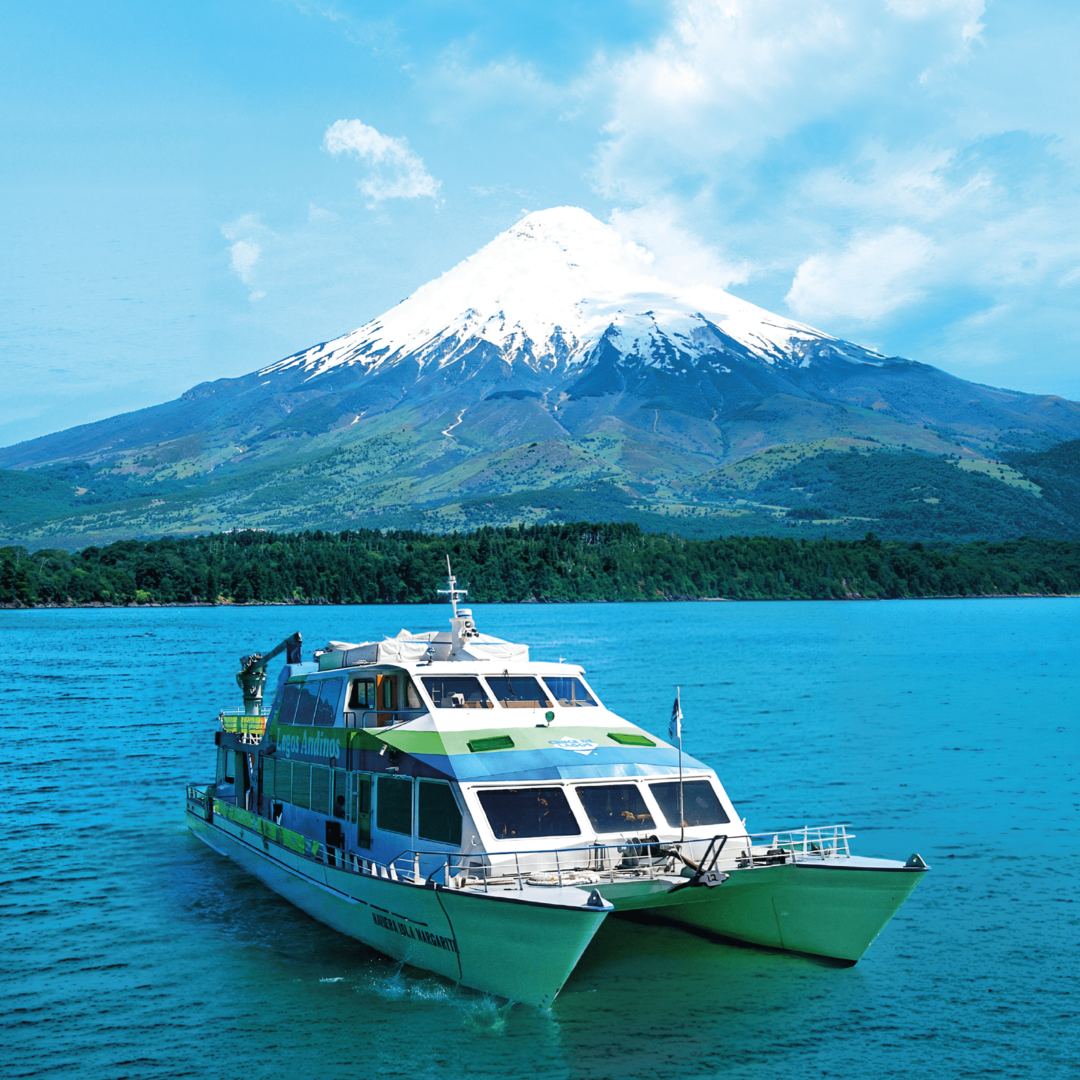 Imagen promocional de Campaña 17