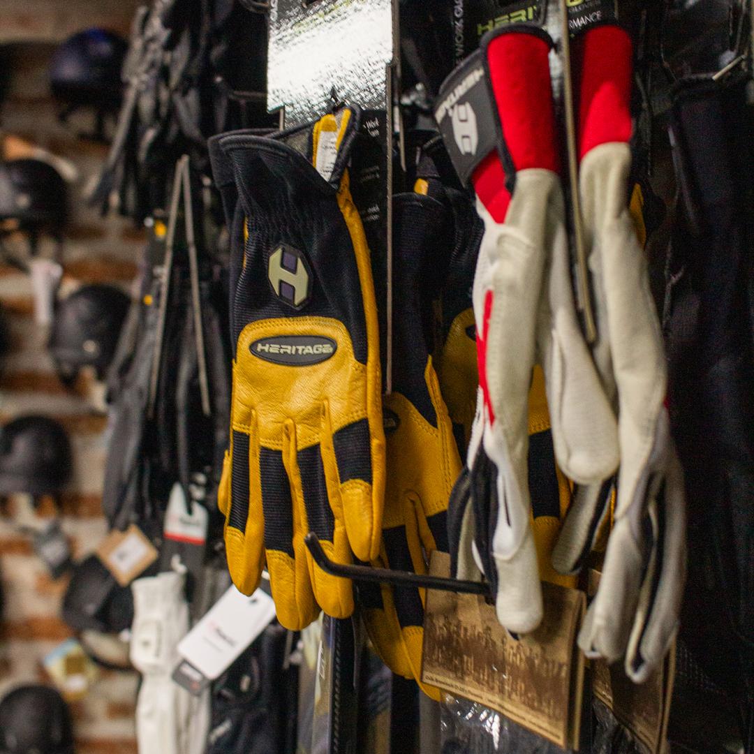 Imagen promocional de Campaña 18