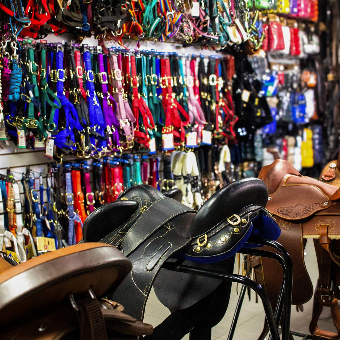 Imagen promocional de Campaña 17