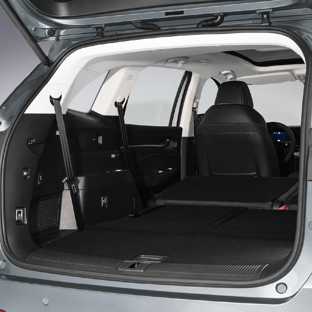 Imagen promocional de Campaña 18