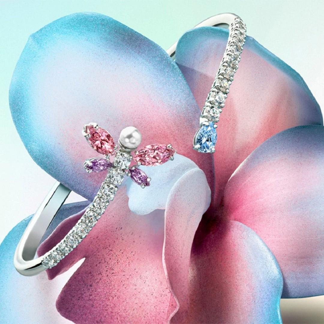 Imagen promocional de Campaña 19