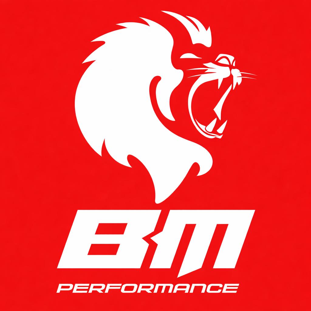 Brodmen logo